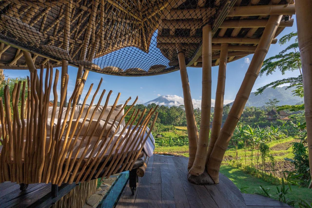 Cobra