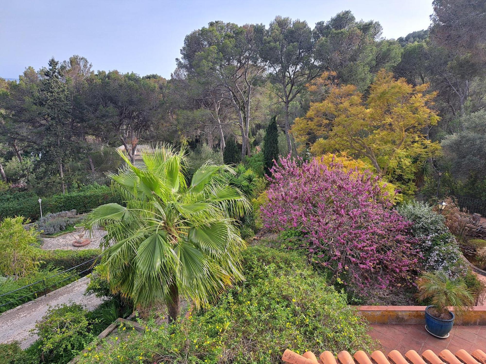 Villa Sea View