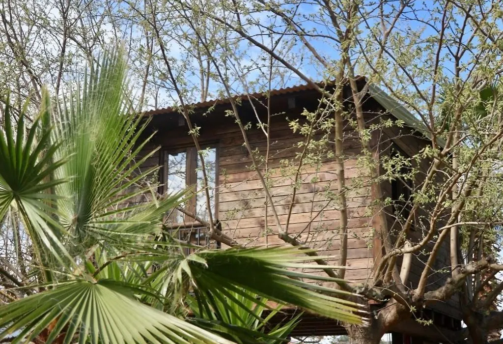 Naturetreehouse Casa Sobre Los Arboles-1