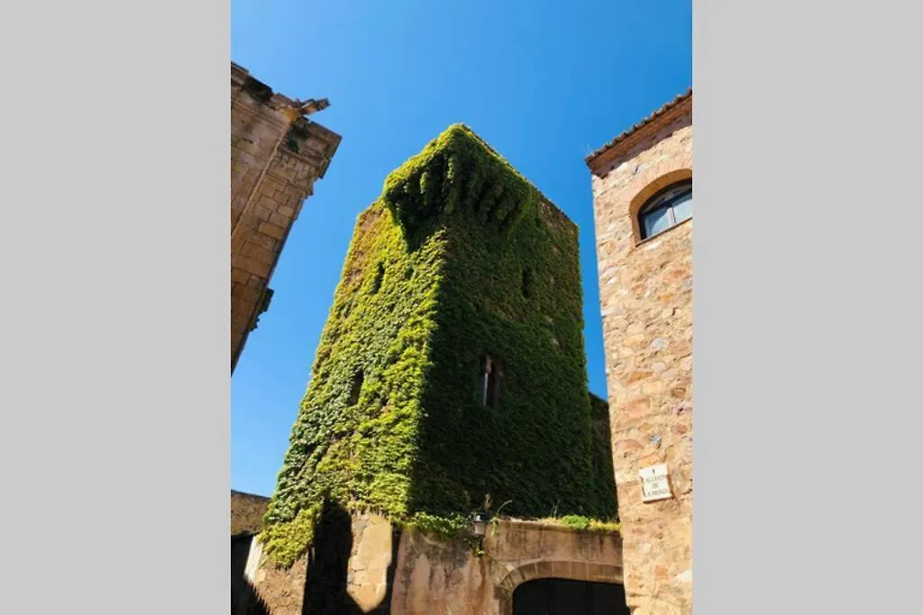 El Escondite de la Muralla-1