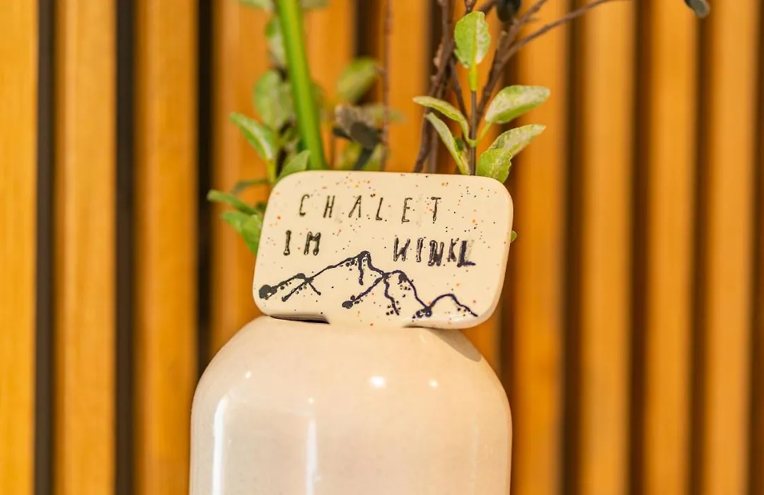 Chalet im Winkl-1