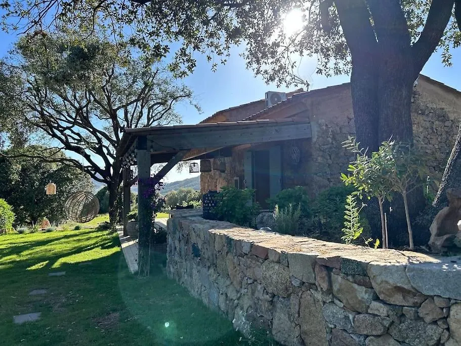 La Bergerie de l'Alivettu en Corse-1