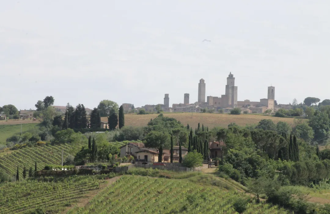 Podere Vigna Del Sole-1