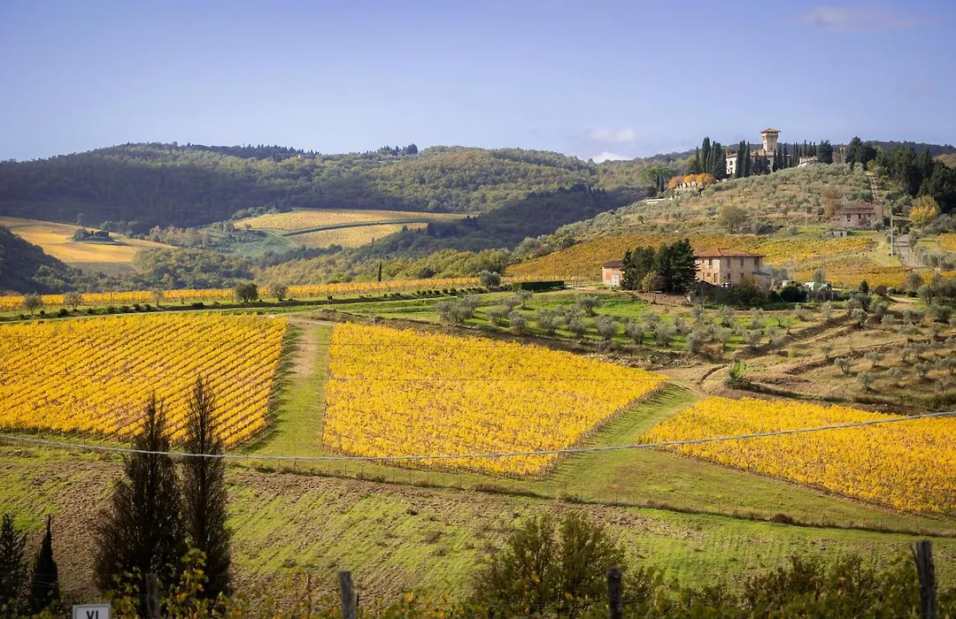 Castello Vicchiomaggio-1