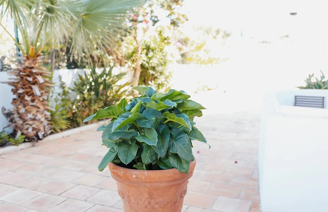 Vila Channa - Adults Only-1