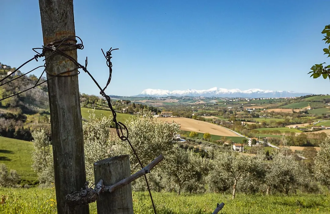 Agriturismo Il Falco-1