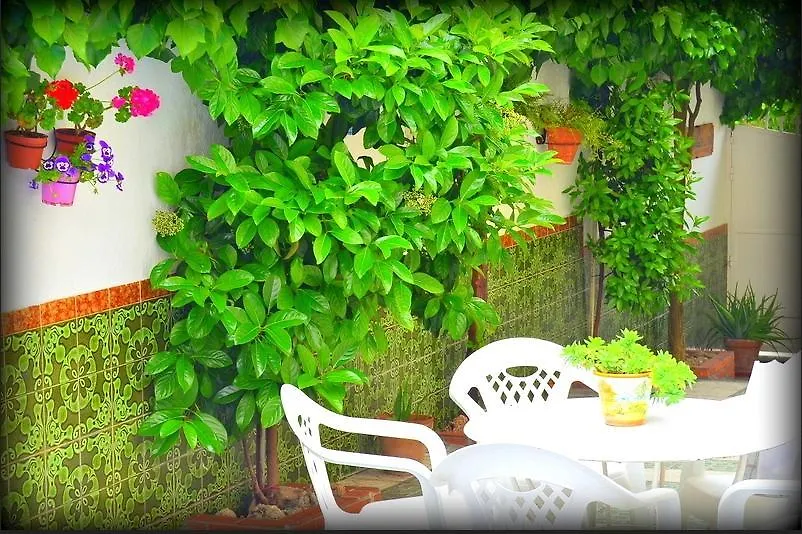 El Rincón de la Rosa-1