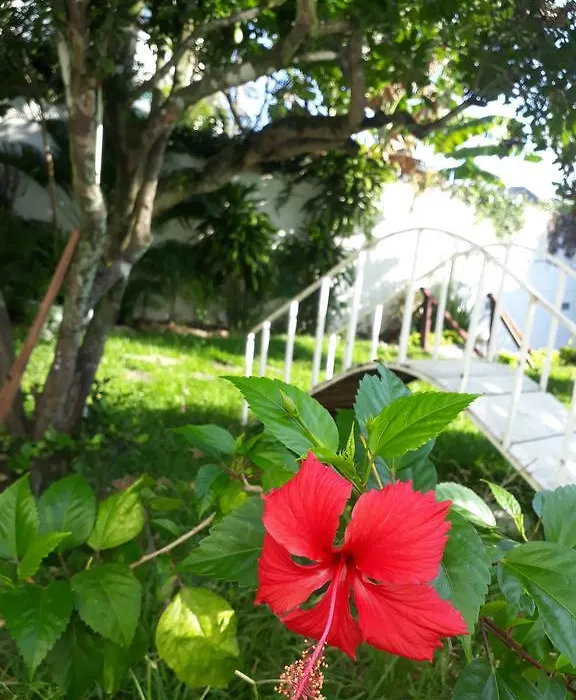 Secret Recreio-1