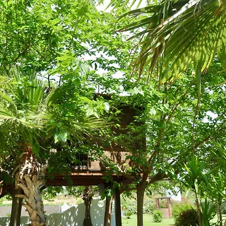 Naturetreehouse Casa Sobre Los Arboles-2