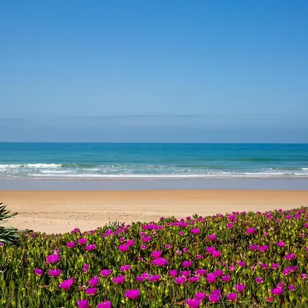 Casita Lulu -Walk To Beach Casita With Garden-2