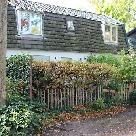 Klein Oldenburg-3