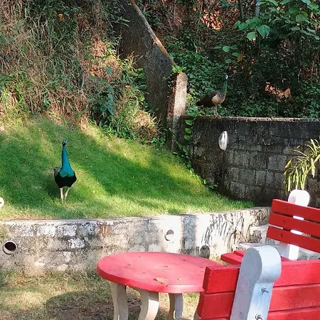 Vip Garden Resort-2