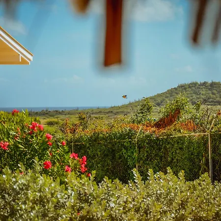 Santa Catharina Resort - Casa Samson-2