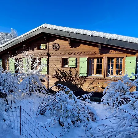 Gstaad Chalet-2