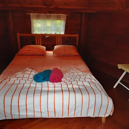 Camping Officiel Wollefsschlucht Echternach-2