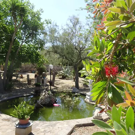 Villa dei Sogni -Piscina Privata 50 mq e parco di 10000 mq solo per voi-vicino a Gallipoli-2