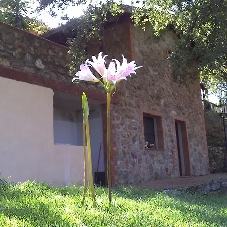 La Quercia-2