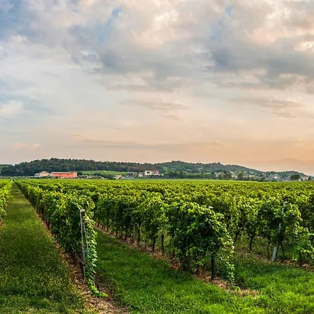 Tenuta La Presa-2