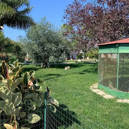 Agriturismo Ricciardulli-3