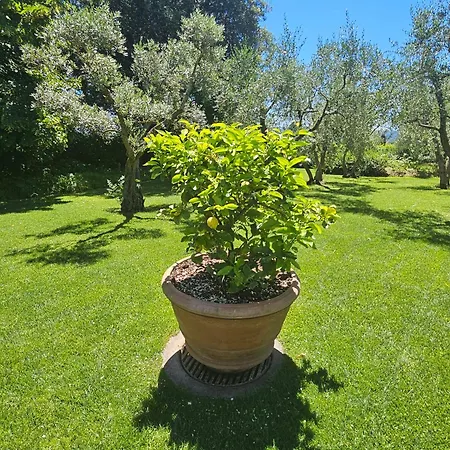 Villa Il Pino-3