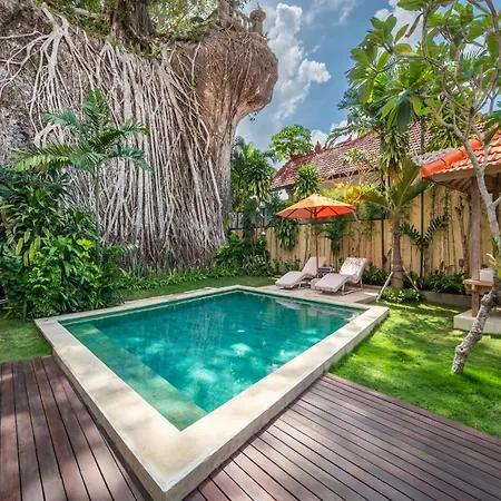 Tropical Villa Sinar Maluku-2