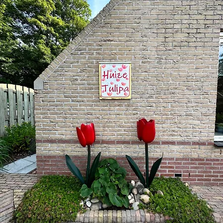 - Tulipa - Vakantiehuis nabij de bloembollenvelden, het meer en strand-3