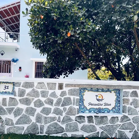 Paradise Blue-3