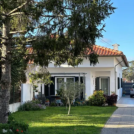 Casa Das Camelias-2