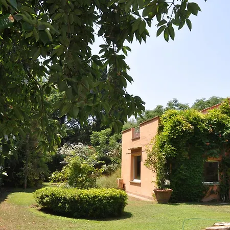 Luxury Villa - Appia Antica-2