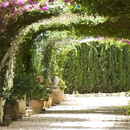 Es Revellar Art Resort - Adults Only-3