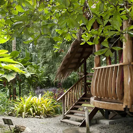Tree House Beachfront Lodge-2