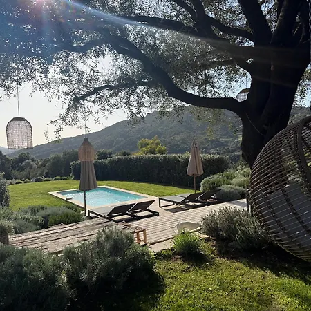 La Bergerie de l'Alivettu en Corse-2