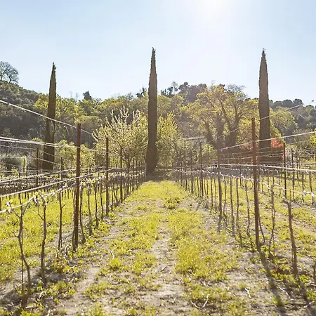 Agriturismo Il Falco-3