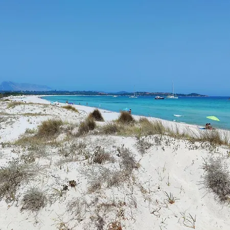 Es Revellar Art Resort - Adults Only-3