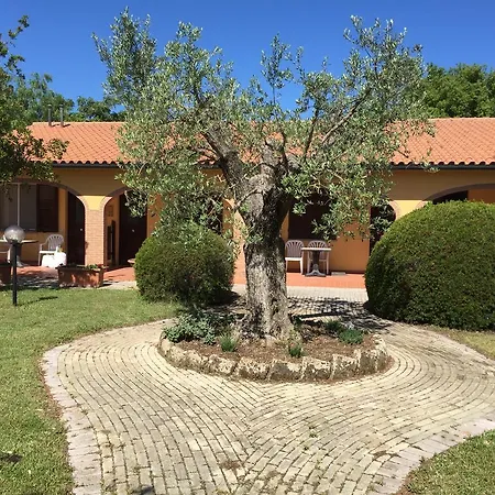Il Girasole-2