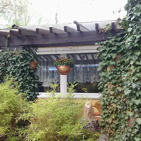 Gartenhaus Steffie-3