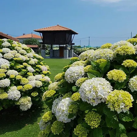 Cai Llope-2