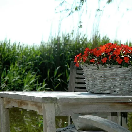 Quaint Holiday Home In Amsterdam Near Lake-2