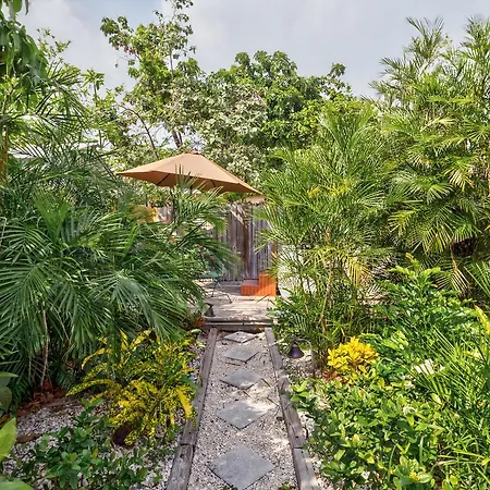 Leeward Isle-3