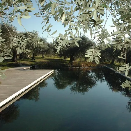 Agriturismo Tenuta La Pergola-2