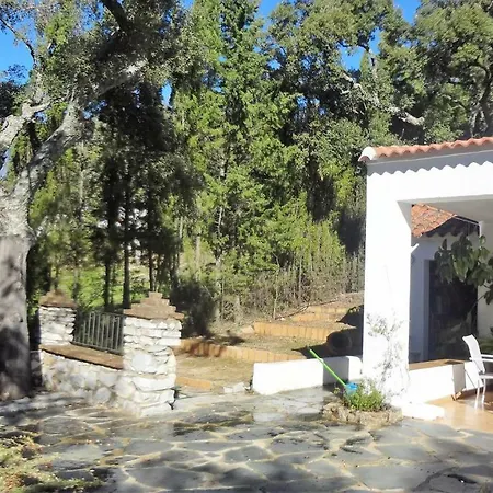 Casa Rural La Gallega-2