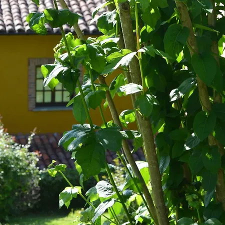 Casa Rural El Bellucu-2