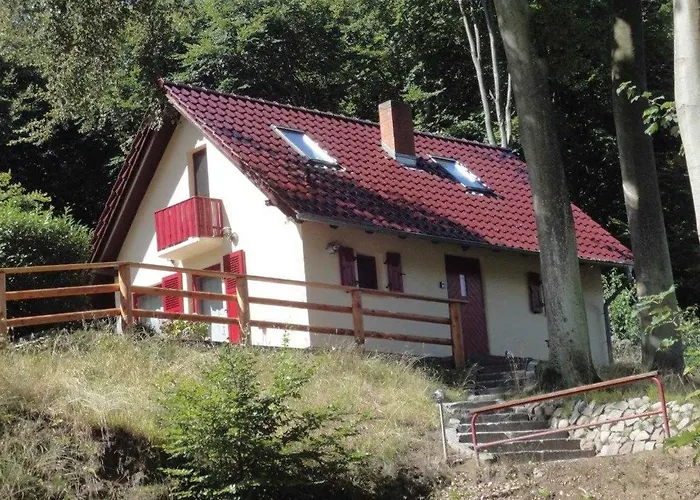 Hotel mit Hund Rotkaeppchen