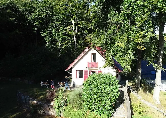 Hotel mit Hund Rotkaeppchen