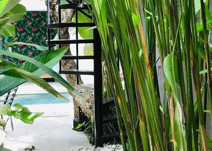 Madu Canggu