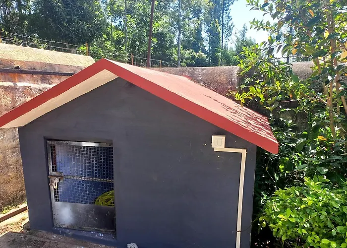 Istays - Yercaud