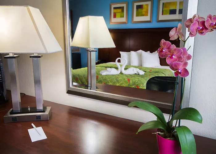 Pet Friendly hotel: Ramada By Wyndham Flamingo Water Park