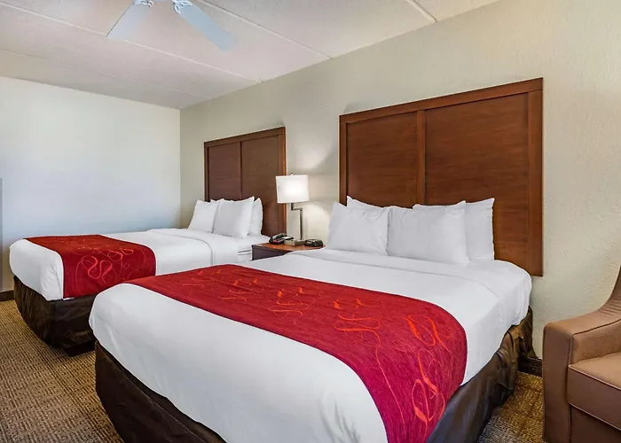 Comfort Kissimmee-Lake Buena Vista South