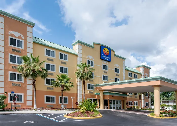 Comfort Kissimmee-Lake Buena Vista South