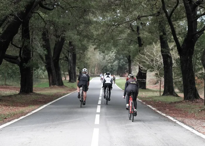 Hotel familiar: Feelviana Sport Hotel